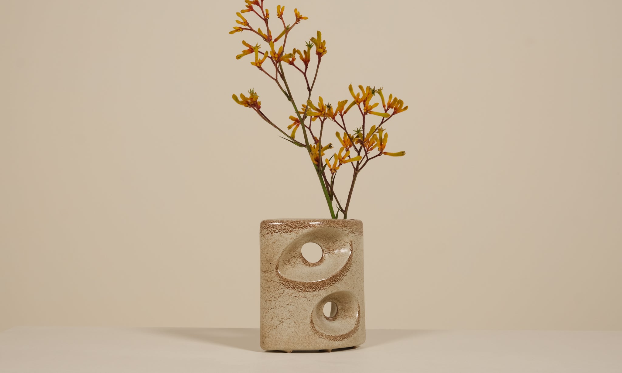 Vase with earthy tones