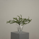 Gevouwen Glazen Vaas