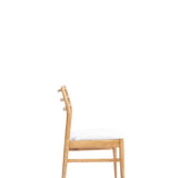 Organische Eetkamer Stoelen Design